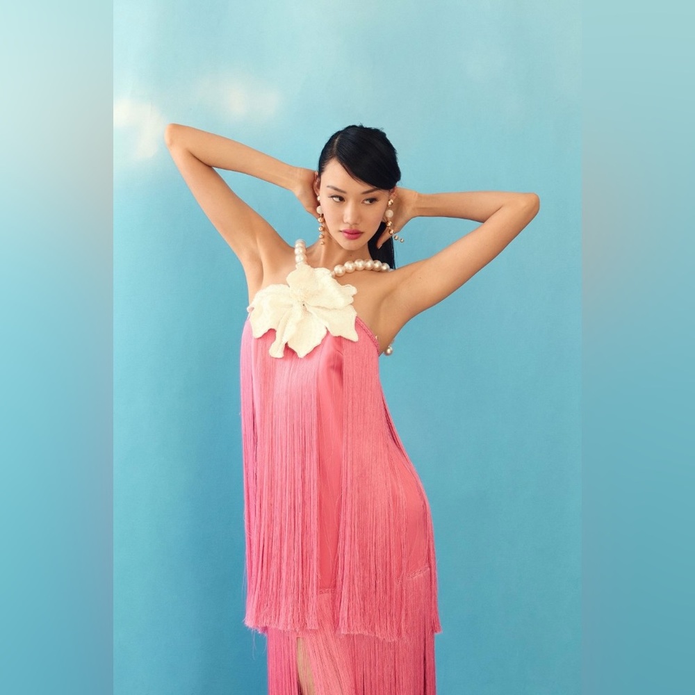 Pat bo beaded dress